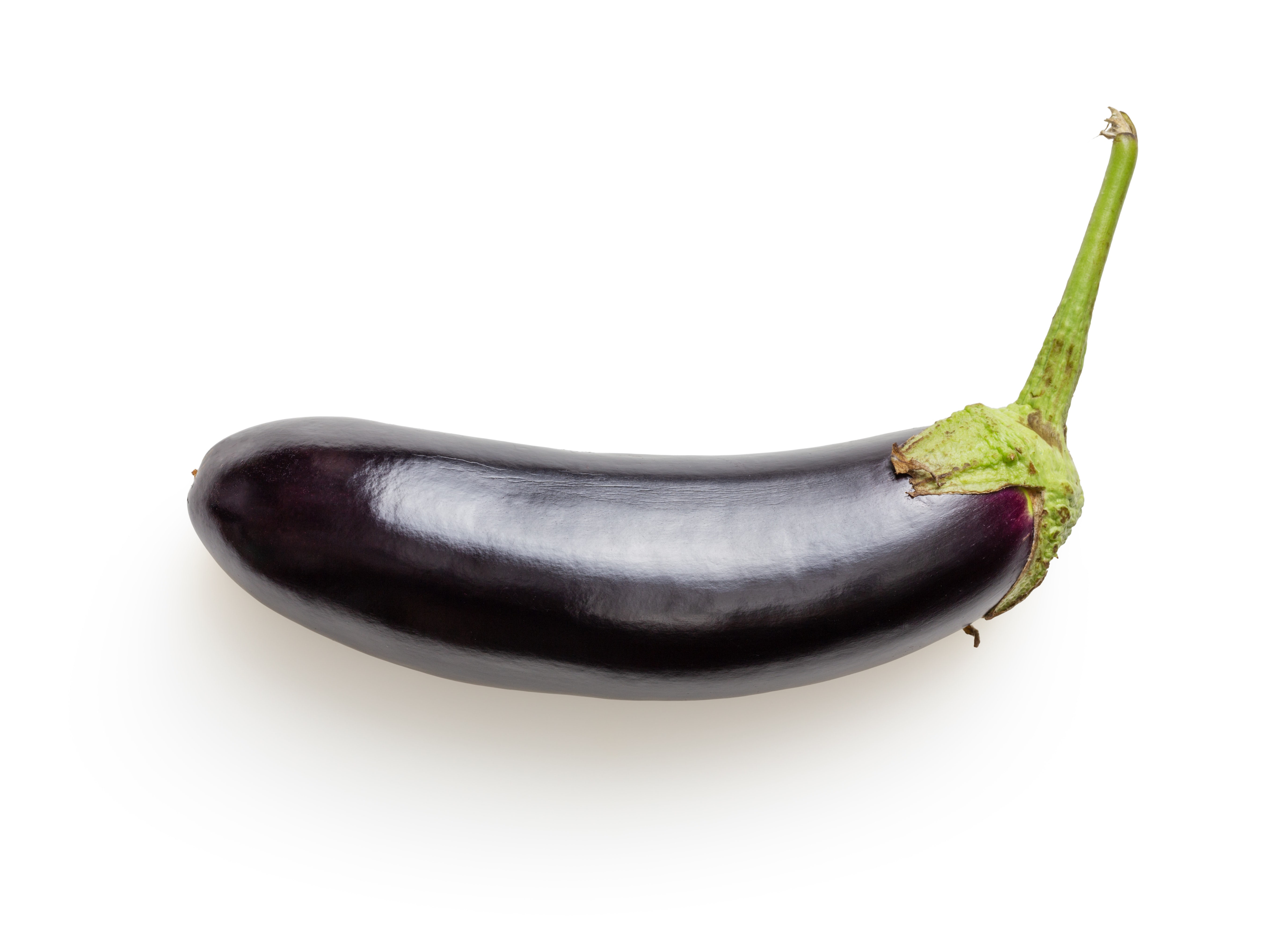 eggplant/brinjal image