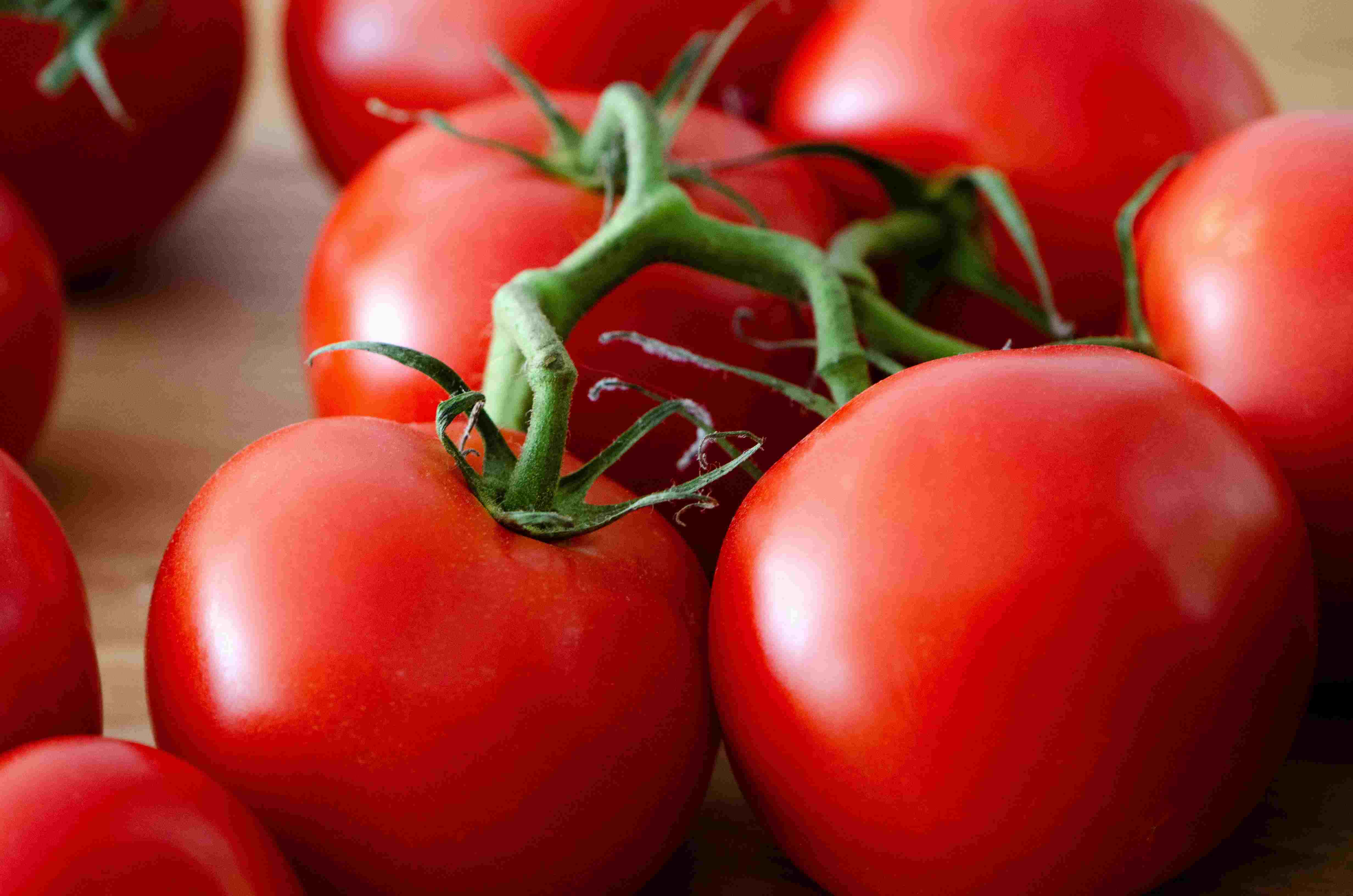 tomatoes-image